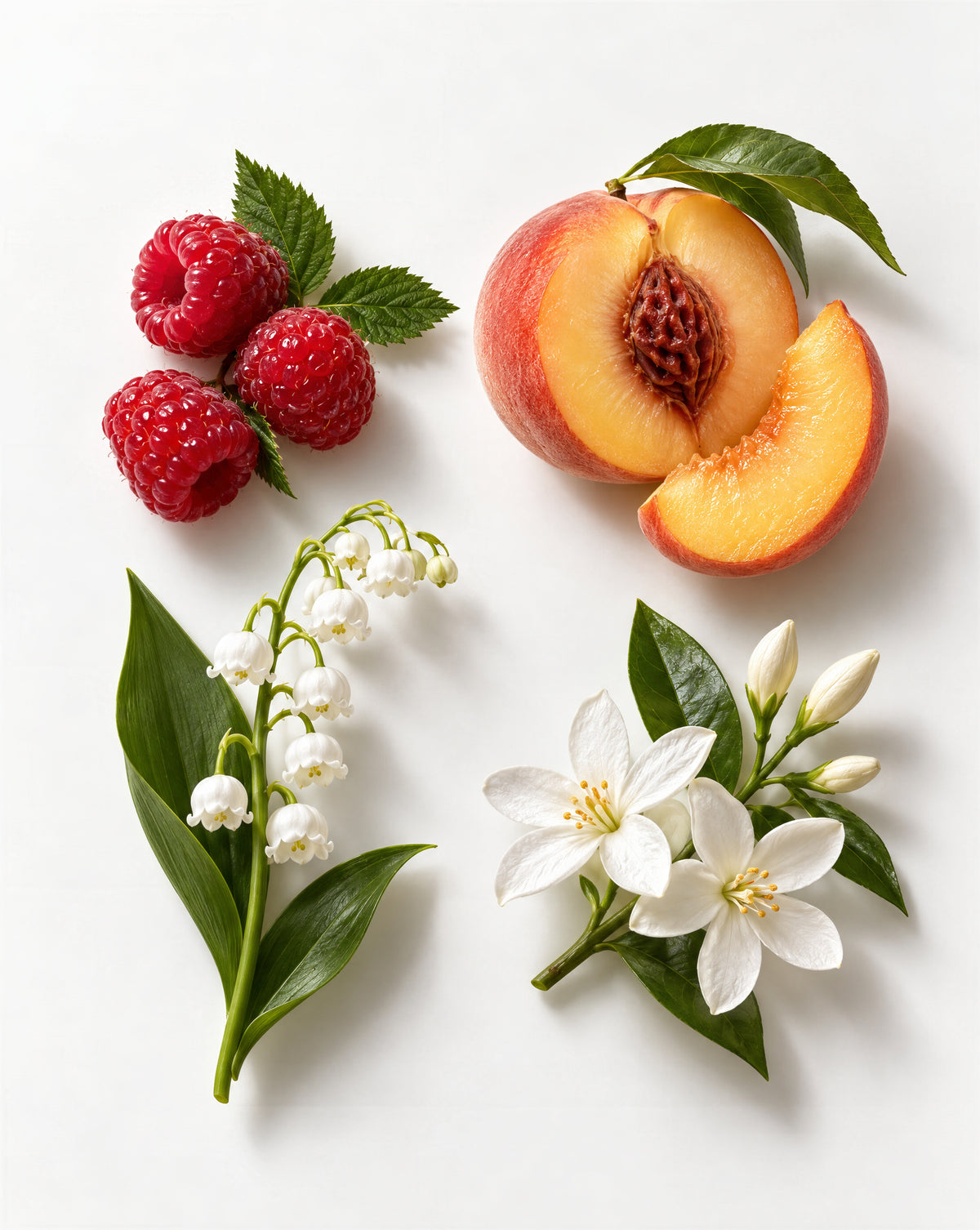 A styled flat-lay of fresh ingredients on a white background, featuring a halved peach with a slice, three red raspberries with green leaves, a lily of the valley flower stem, and white blossoms with green leaves.
