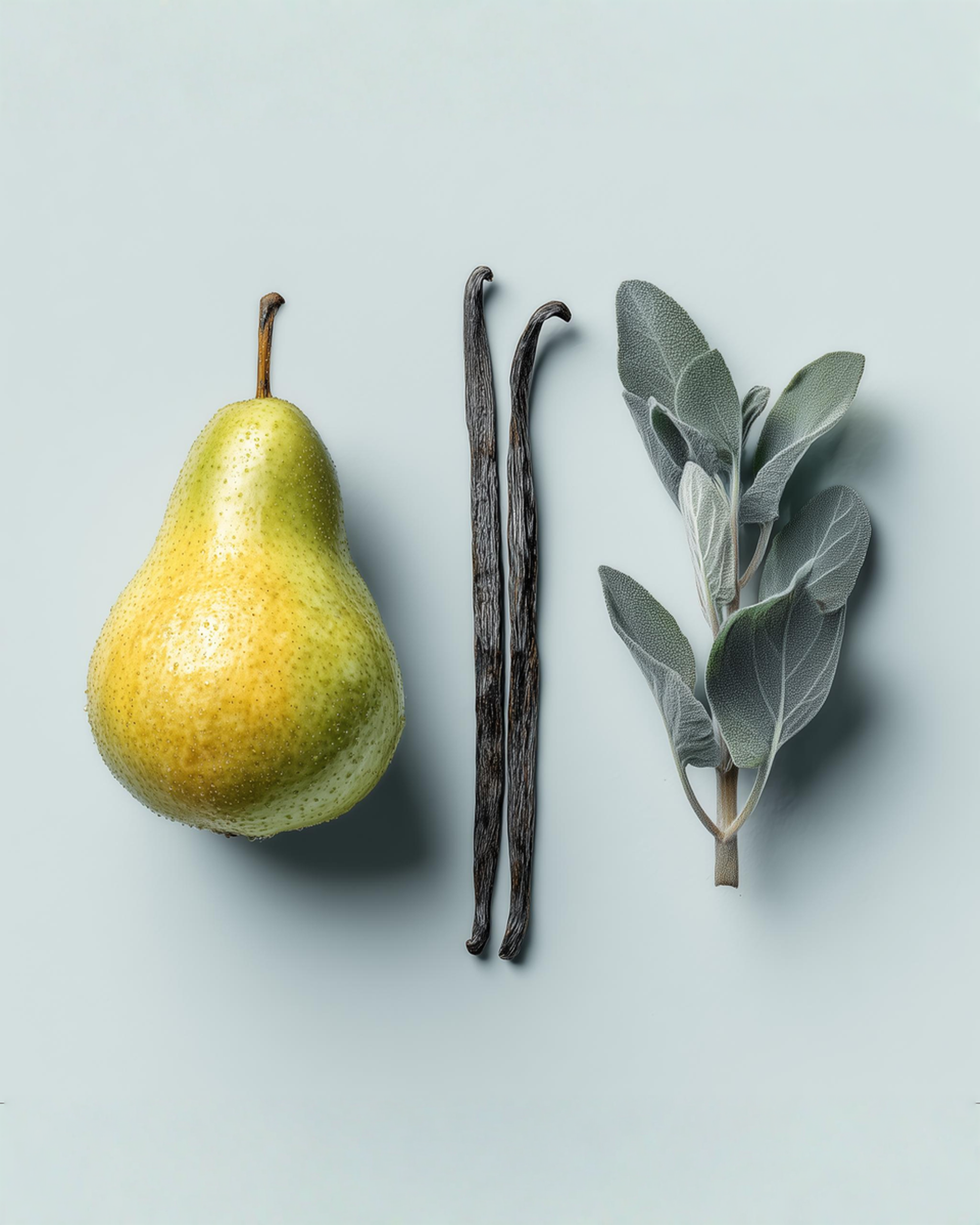 The Casanova Luxury Scented Candle by Alias Los Angeles – A captivating blend of vanilla, patchouli, and juicy pear. Hand-poured in Los Angeles, this seductive candle brings warmth, sweetness, and sophistication to your space.