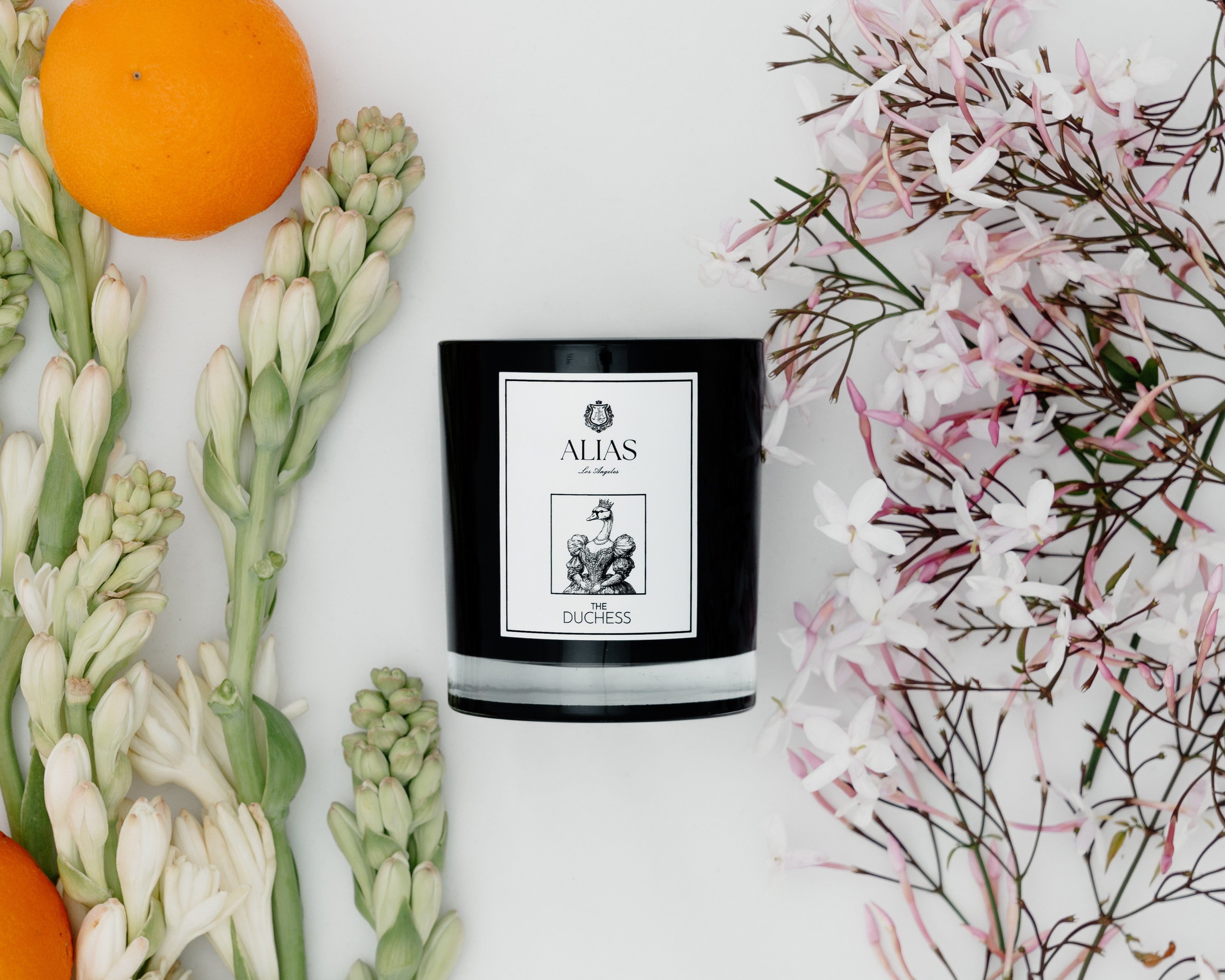 The Duchess — Notes of White Tuberose, Jasmine, Orange Blossom